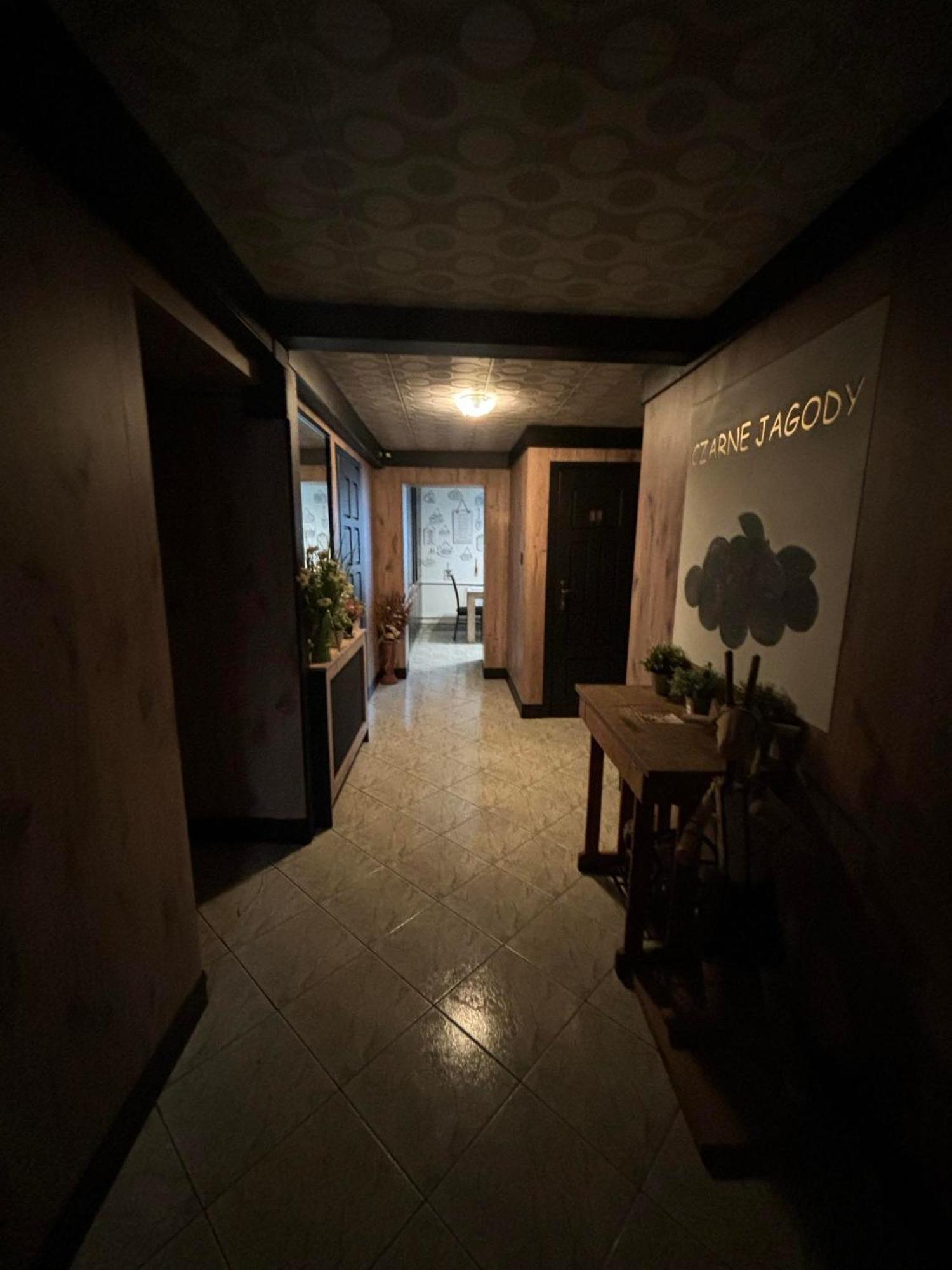 Апартаменты Czarne Jagody Косцелиско Экстерьер фото